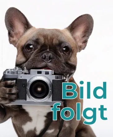 OP-Assistent © knk - stock.adobe.com