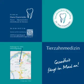 Tierzahnmedizin Regensburg - Flyer