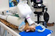 Röntgentechnik für Tiere © Foto: peppUP.de