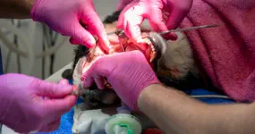 Sorgfalt bis ins Detail © Foto: peppUP.de